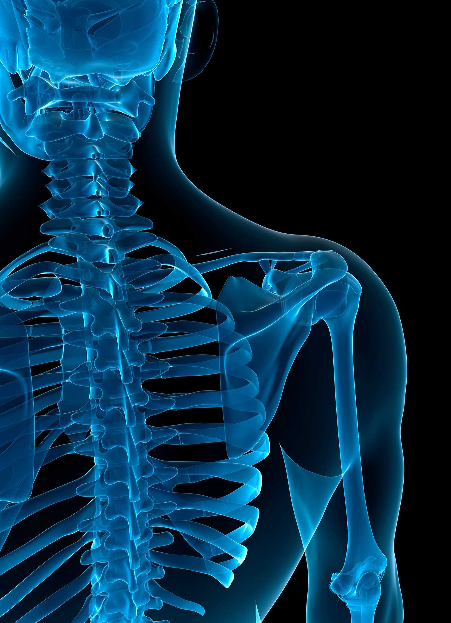 Sports Medicine Research Highlights