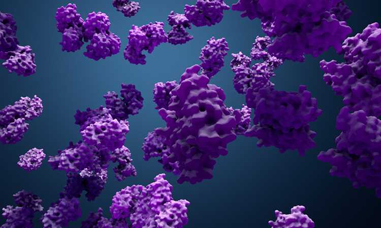 Enzyme Revealed as Promising New Target for Cancer Immunotherapies