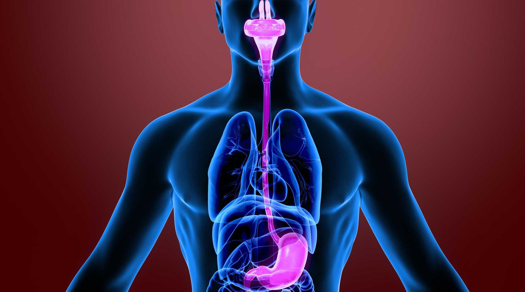 Montefiore Einstein Launches New Esophageal Motility Program at Wakefield Campus