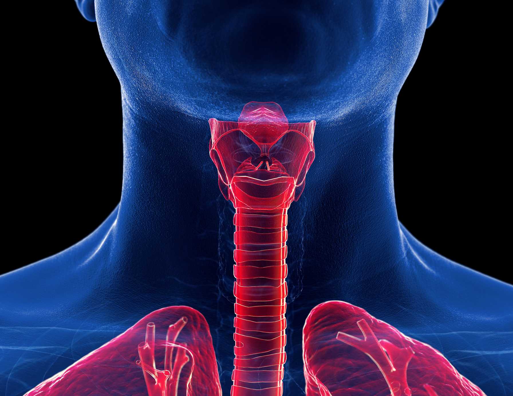 New Hands-On Workshops Prepare Anesthesia Providers to Conduct Emergency Airway Procedure
